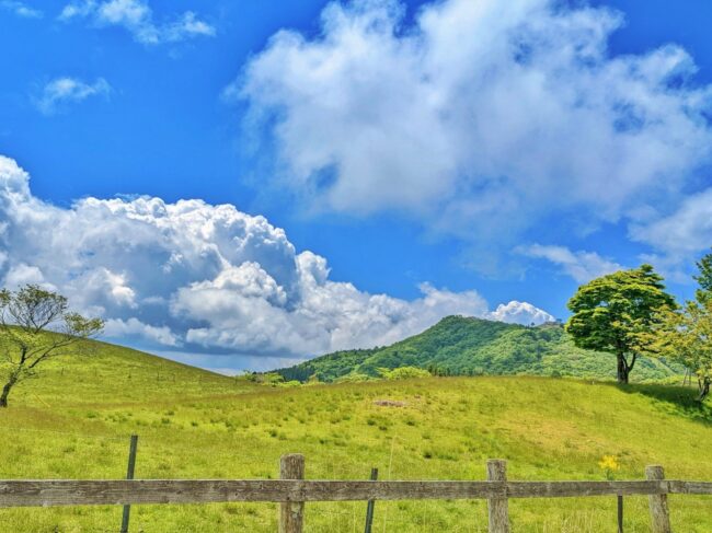 奥茶臼山と茶臼山